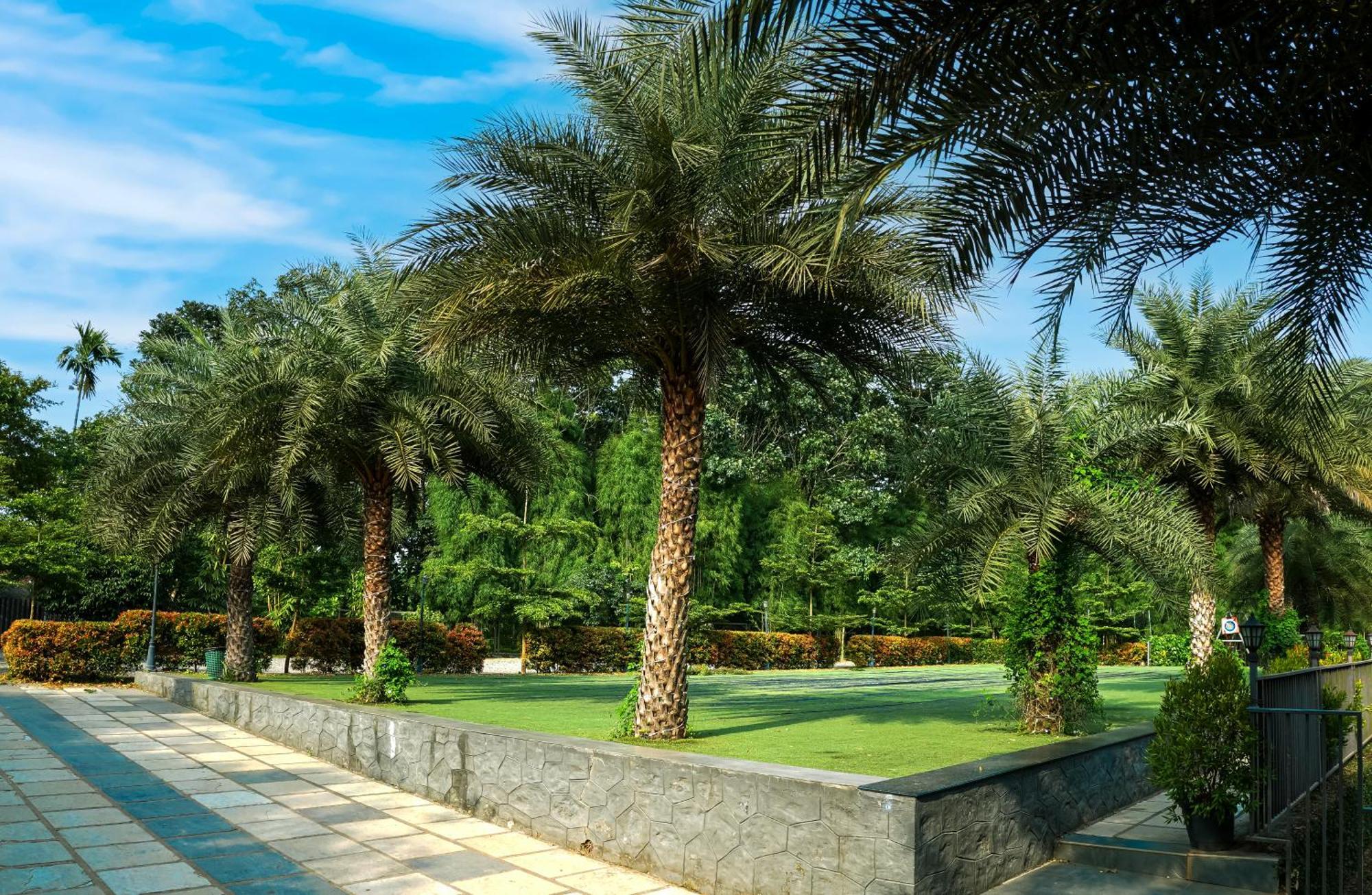 Fern Tree Resort มานันทาวดี ภายนอก รูปภาพ